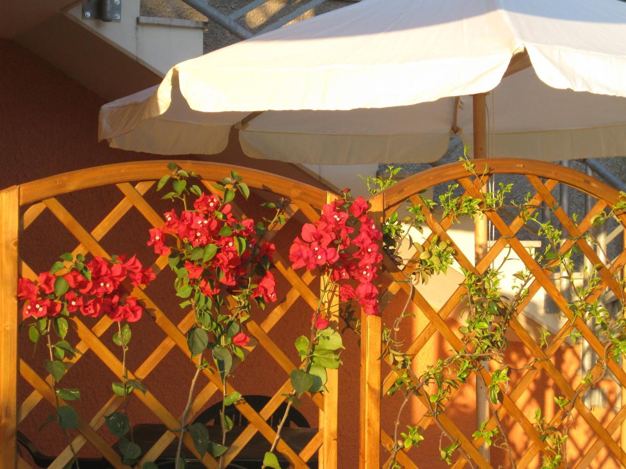 A Due Passi Dal Mare B&B Нумана Екстериор снимка