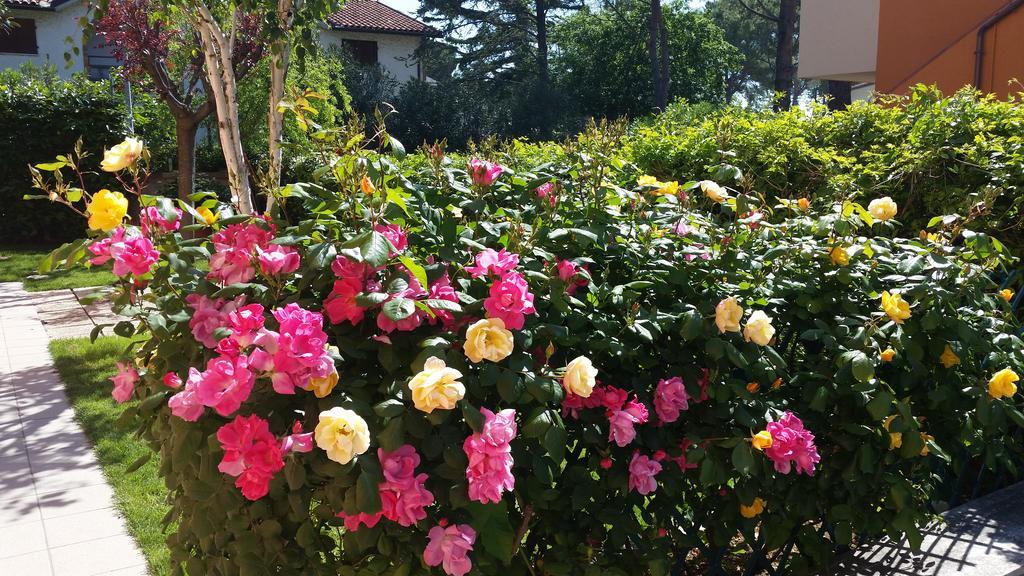 A Due Passi Dal Mare B&B Нумана Екстериор снимка