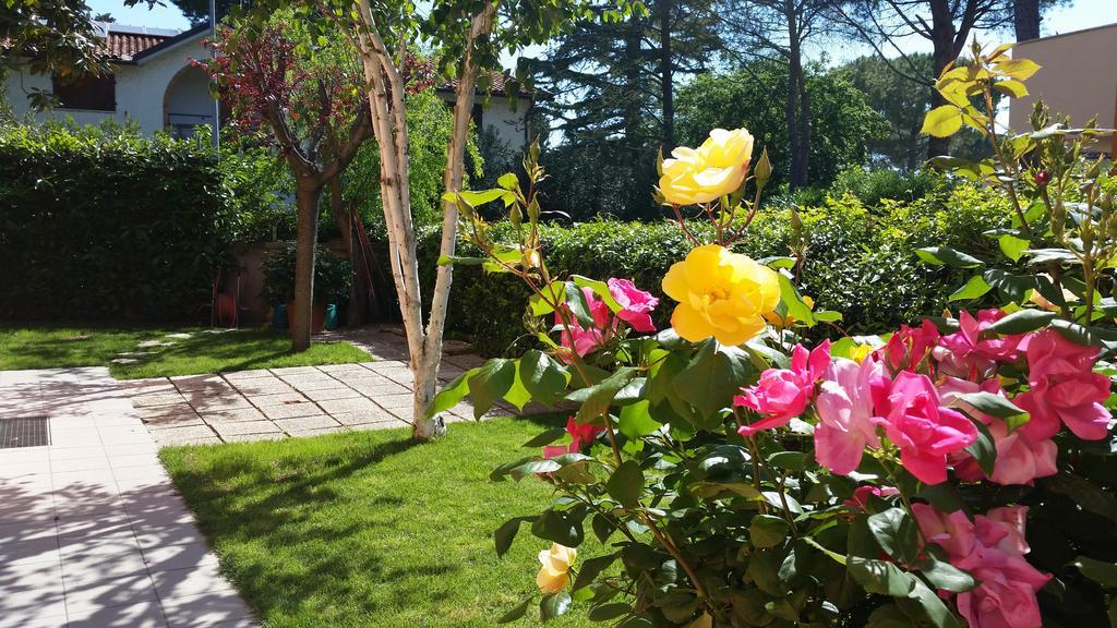 A Due Passi Dal Mare B&B Нумана Екстериор снимка